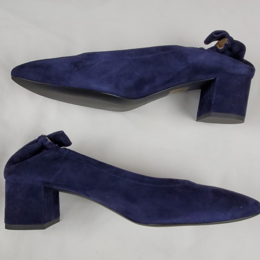 Everlane Blue Heels with Chunky Block Heel